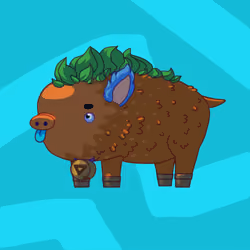 Pig #0033