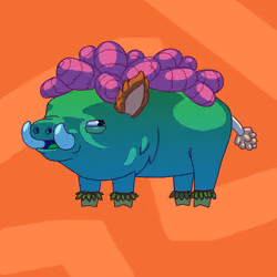 Pig #0070