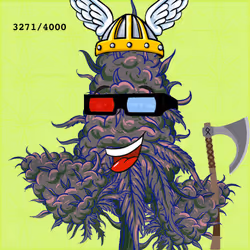 81