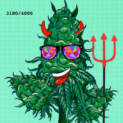 113