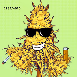 126