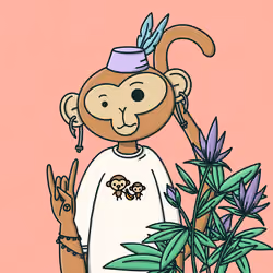 Monkey Trip #3775