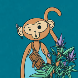 Monkey Trip #977