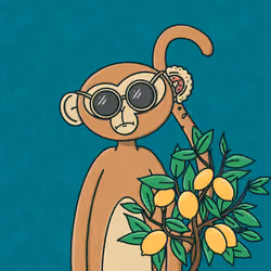 Monkey Trip #1285