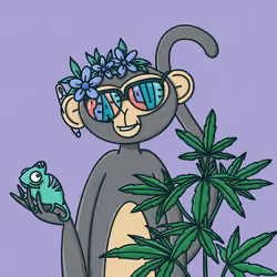 Monkey Trip #3491