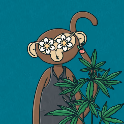 Monkey Trip #4055