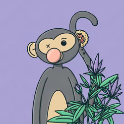 Monkey Trip #862