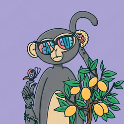Monkey Trip #2649