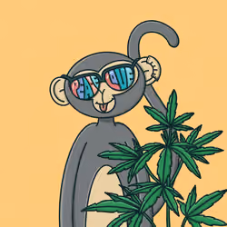 Monkey Trip #1355