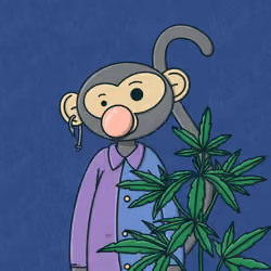 Monkey Trip #1728