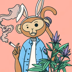 Monkey Trip #2491