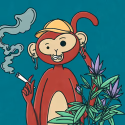 Monkey Trip #958