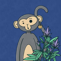 Monkey Trip #3515