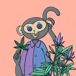 Monkey Trip #1053