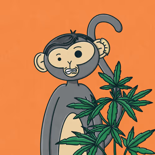 Monkeytripnft
