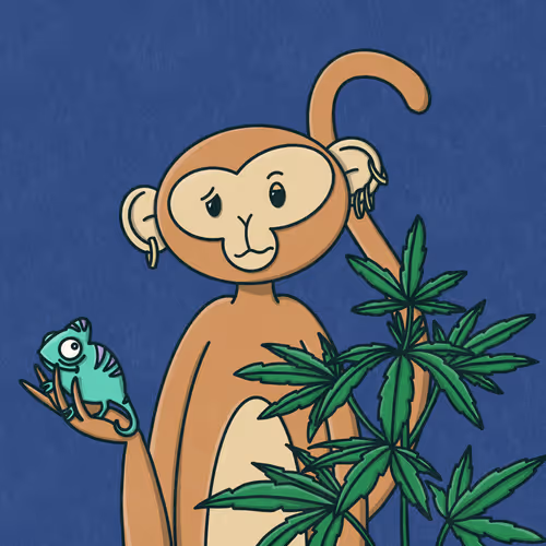 Monkeytripnft