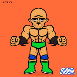 AVWA #2546