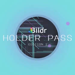Bildr Holder Pass