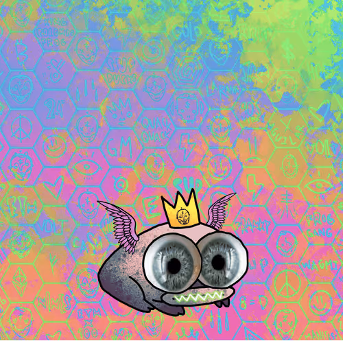 Kingfrogs