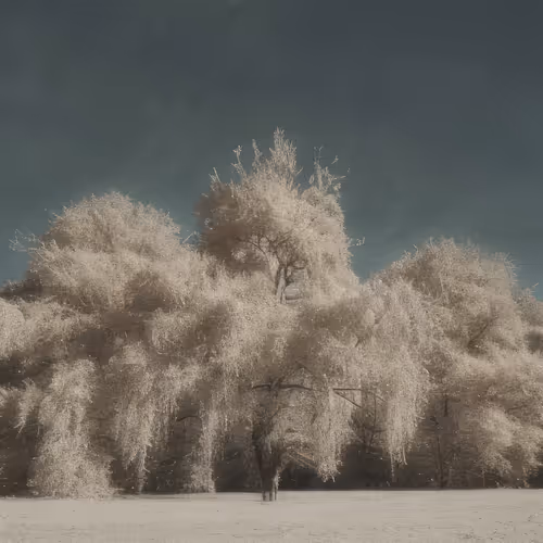 Mirascapes