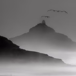 Mirascapes 1798