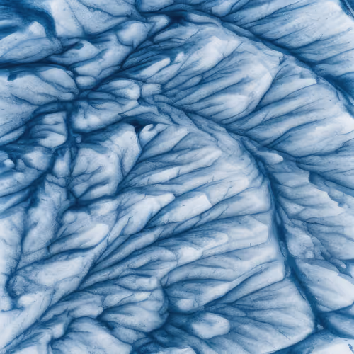 Mirascapes