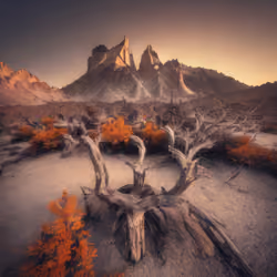 Mirascapes 497