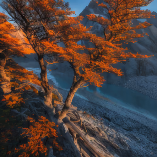 Mirascapes 1208
