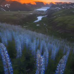 Mirascapes 1535