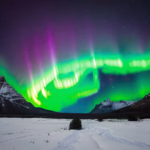 Mirascapes