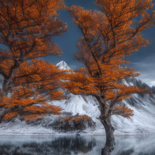 Mirascapes 563