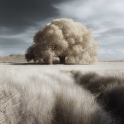 Mirascapes 1341