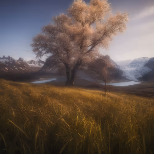 Mirascapes