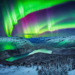 Mirascapes 2393