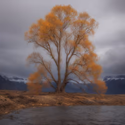 Mirascapes 2508