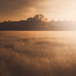 Mirascapes 265