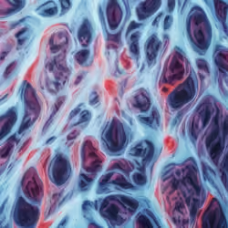 Mirascapes 496