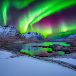 Mirascapes 36