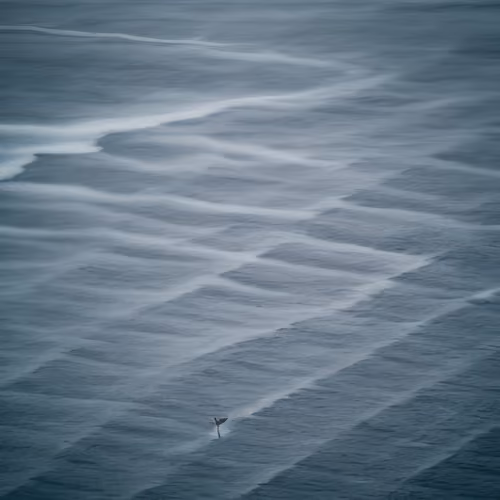 Mirascapes 760