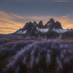 Mirascapes 328