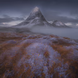 Mirascapes 1289