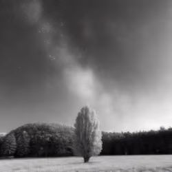 Mirascapes 2199