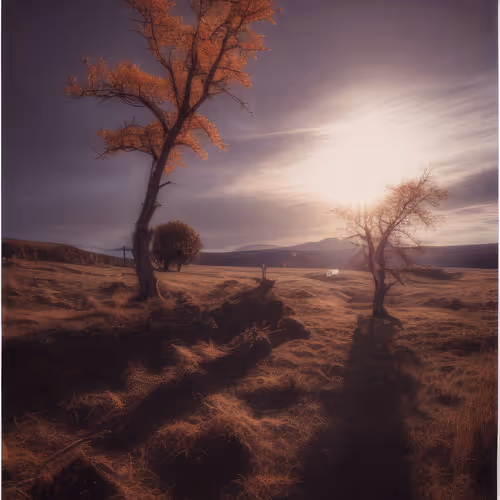 Mirascapes
