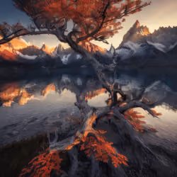Mirascapes 1454
