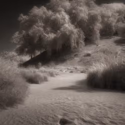 Mirascapes 185