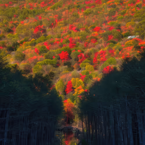 Mirascapes