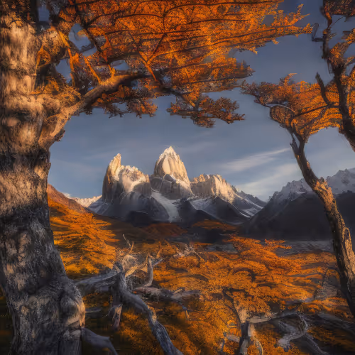 Mirascapes