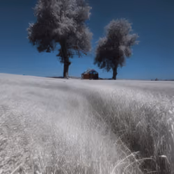 Mirascapes 1453