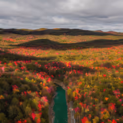 Mirascapes 1069