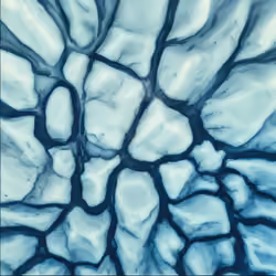 Mirascapes 498
